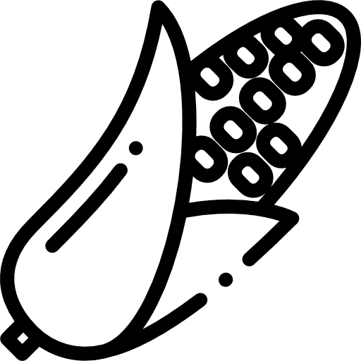 corn_681065